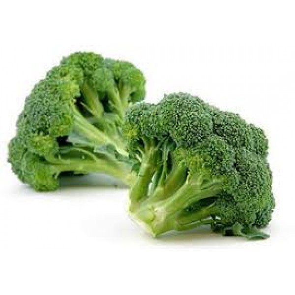 BROCCOLI SEED