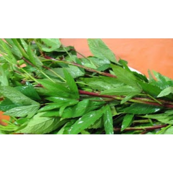 Pulicha Keerai Seeds-புளிச்ச கீரை