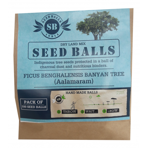 Seed Balls (Banyan Tree / Aalamaram Seed Balls) 100 Balls Pack - ஆலமரம் விதை பந்துகள்