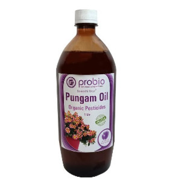 Pungam Oil 1 Ltr