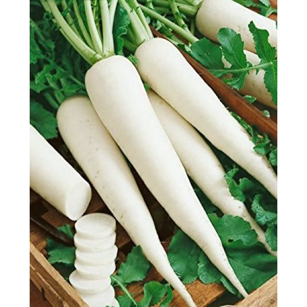 White Raddish Seeds(50g) - வெள்ளை முள்ளங்கி விதைகள்(50g)