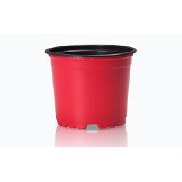 Plant Pot (Red Colour)