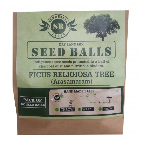 Seed Balls (Ficus Religiosa Tree / Arasamaram Seed Balls) 100 Balls Pack - அரச மரம் விதை பந்துகள்
