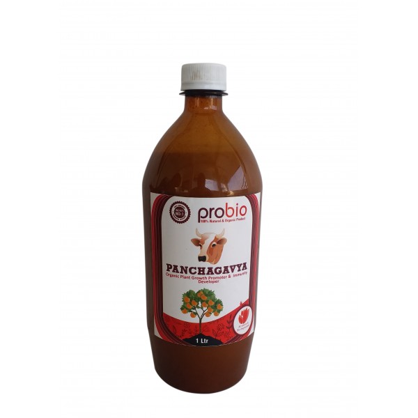 Panchagavya 1Ltr