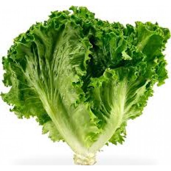 LETTUCE
