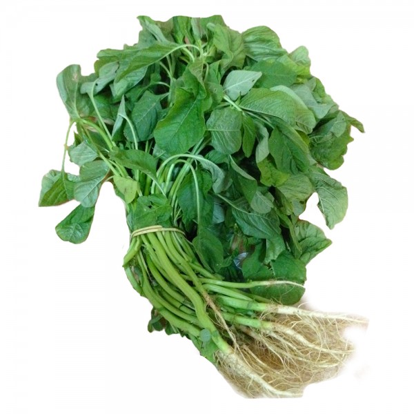 Sprout Spinach(Mulai Keerai) Green Seeds - முளை கீரை விதைகள்