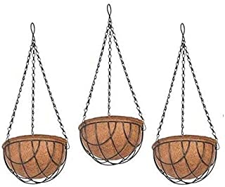 Coirgardern- Hangin pot